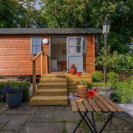 Отель Hawthorn Hut Kilkenny Glamping At Jenkinstown House Jenkinstown Park Экстерьер фото