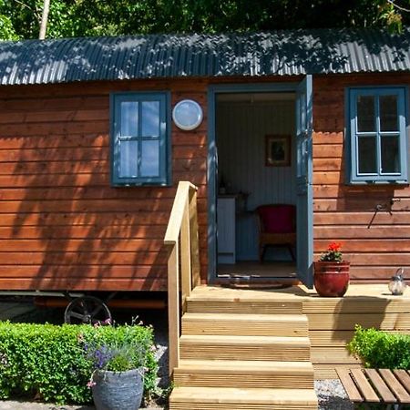 Отель Hawthorn Hut Kilkenny Glamping At Jenkinstown House Jenkinstown Park Экстерьер фото