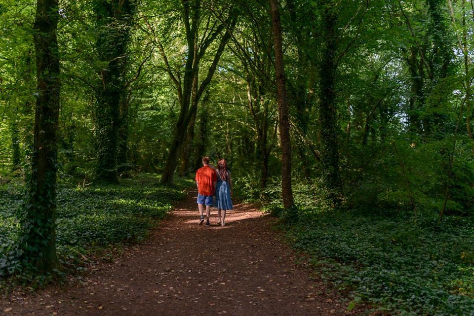 Отель Hawthorn Hut Kilkenny Glamping At Jenkinstown House Jenkinstown Park Экстерьер фото